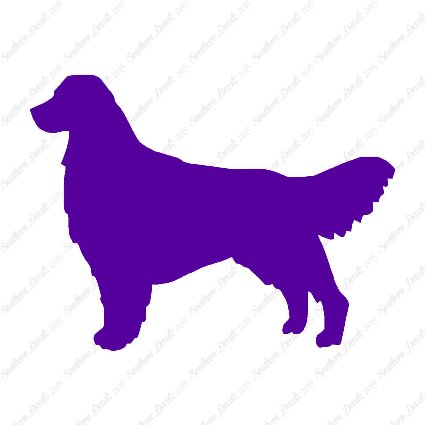 Golden Retriever Dog Breed
