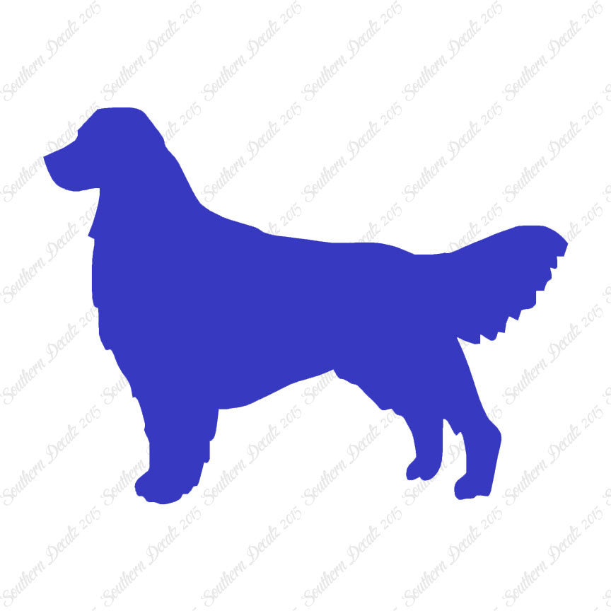 Golden Retriever Dog Breed