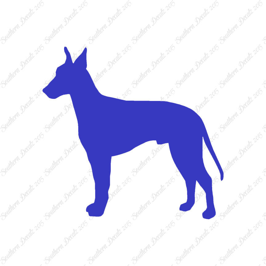 Manchester Terrier Dog Breed