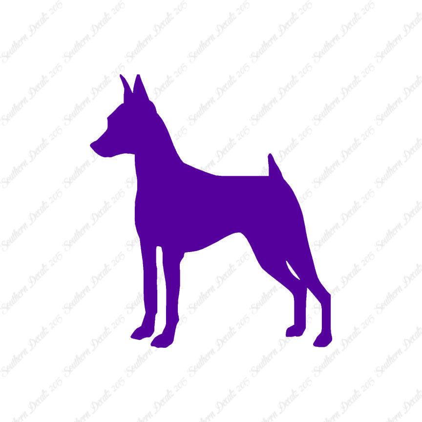 Miniature Pinscher Dog Breed