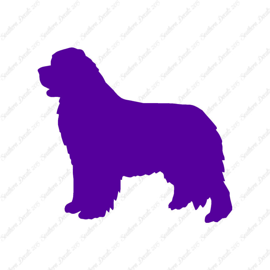 Newfoundland Dog Breed