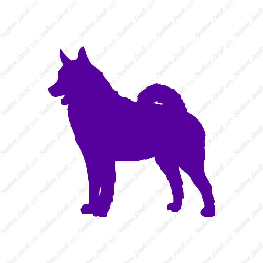 Norwegian Elkhound Dog Breed