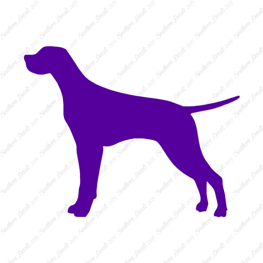 Pointer Dog Breed