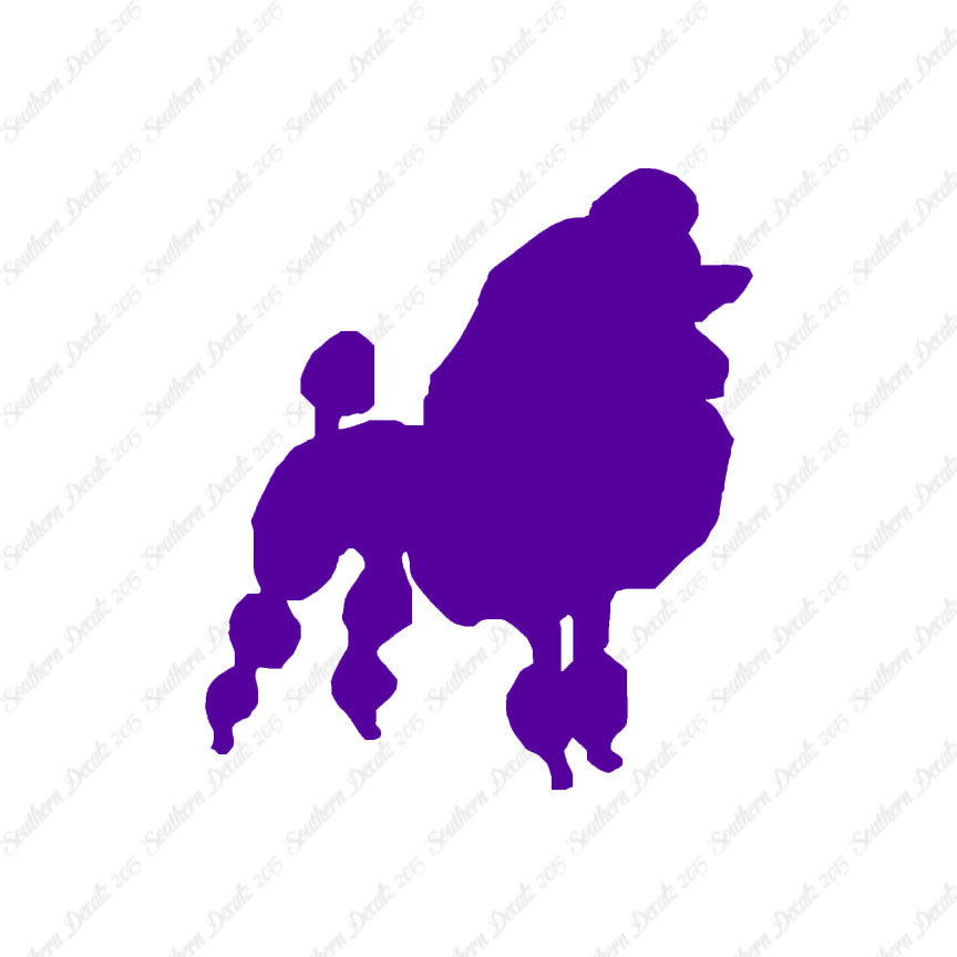 Poodle Dog Breed
