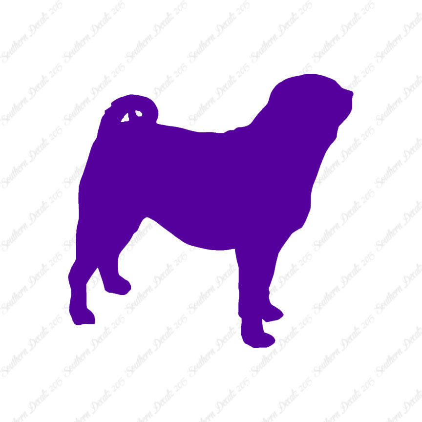 Pug Dog Breed
