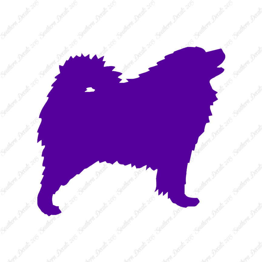 Samoyed Dog Breed