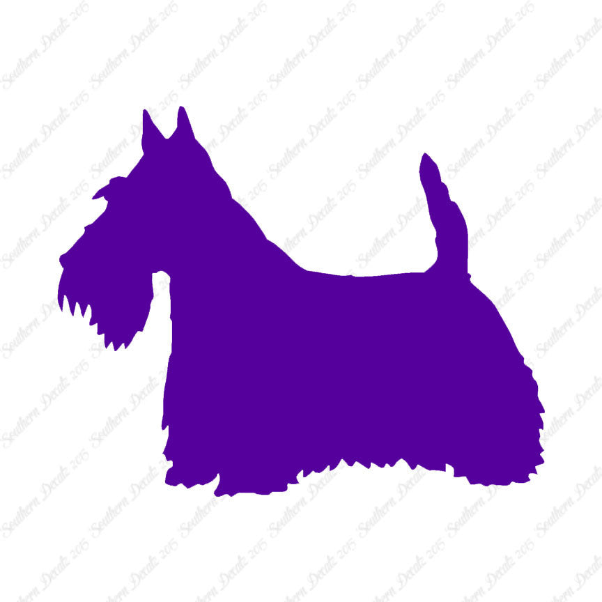 Scottish Terrier Dog Breed