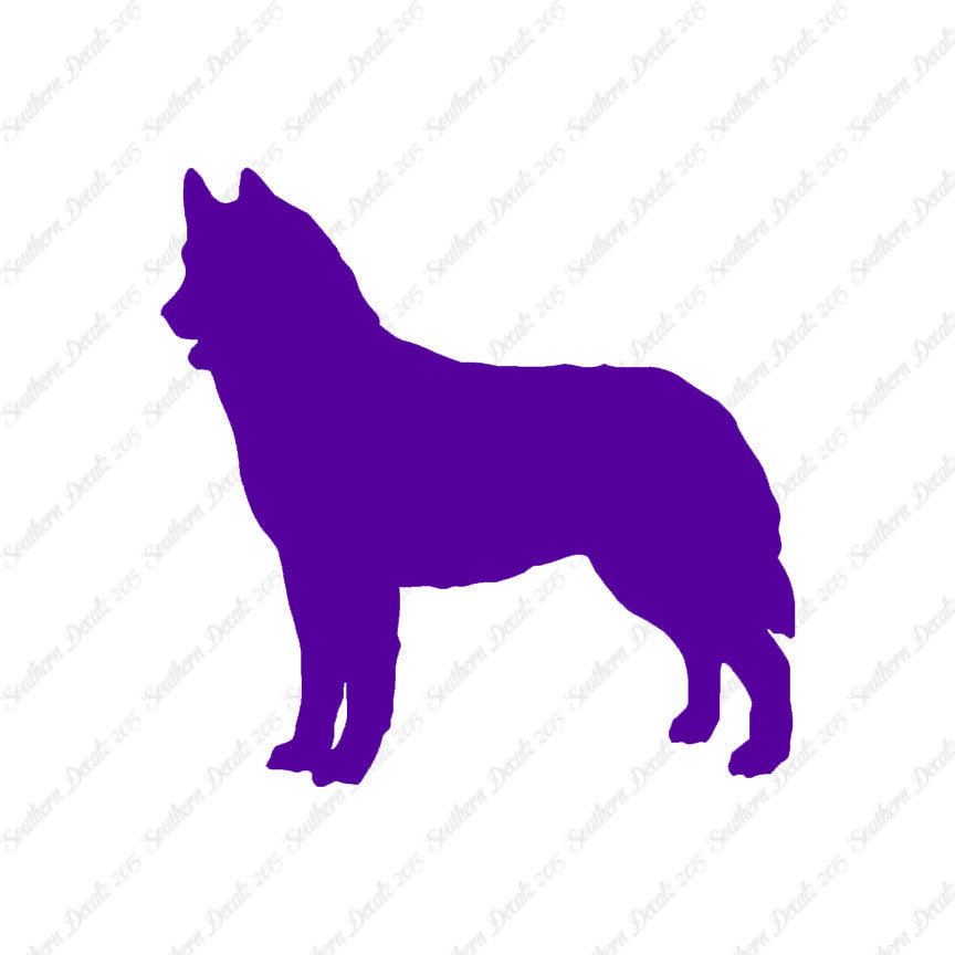Siberian Husky Dog Breed