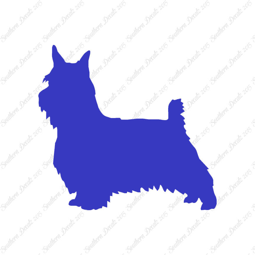 Silky Terrier Dog Breed