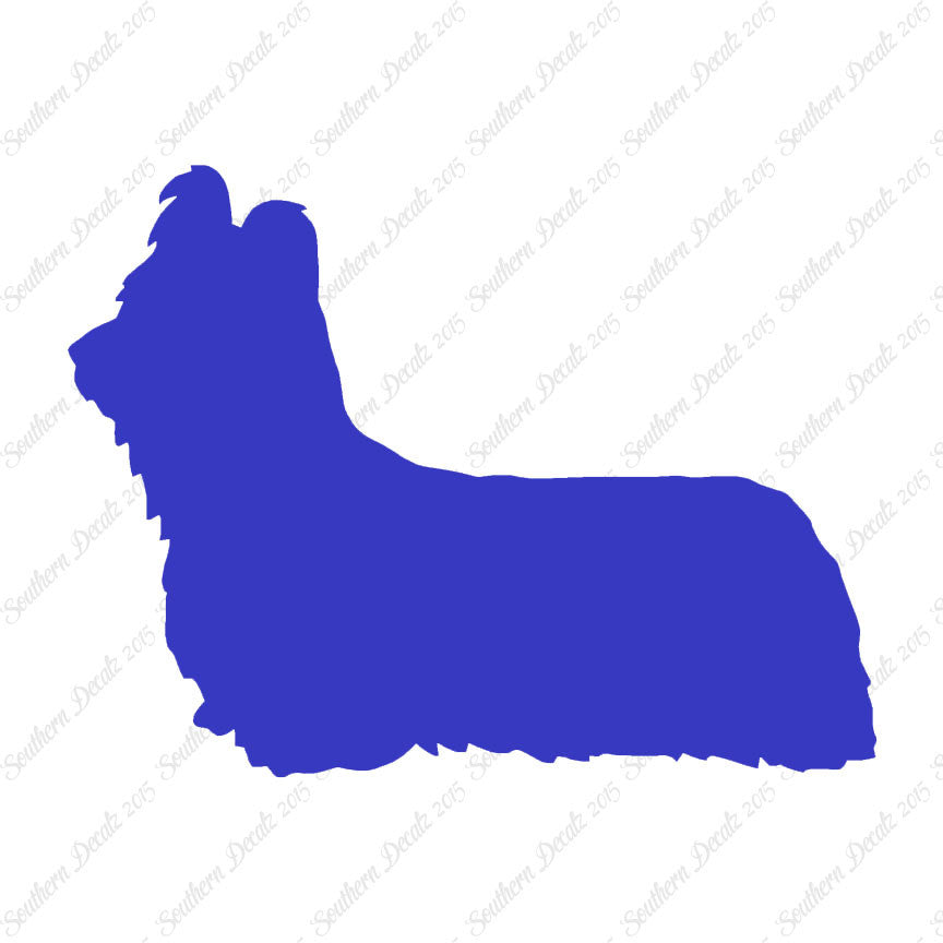 Skye Terrier Dog Breed