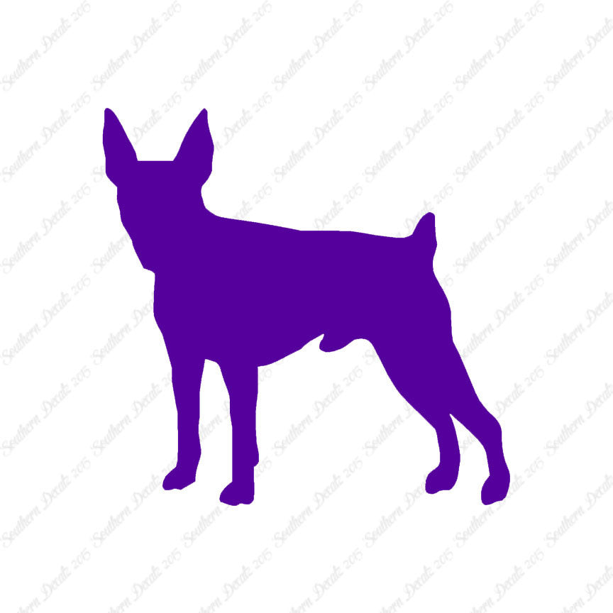 Toy Fox Terrier Dog Breed