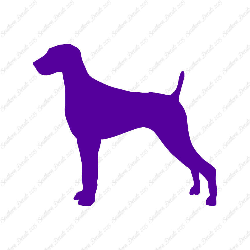 Weimaraner Dog Breed