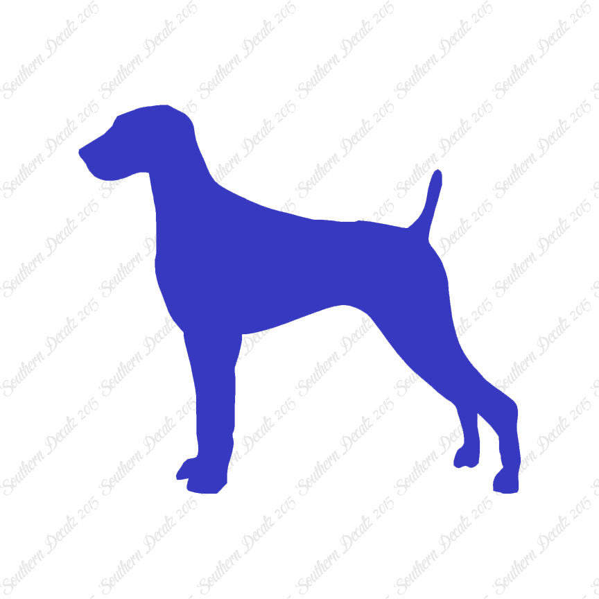 Weimaraner Dog Breed