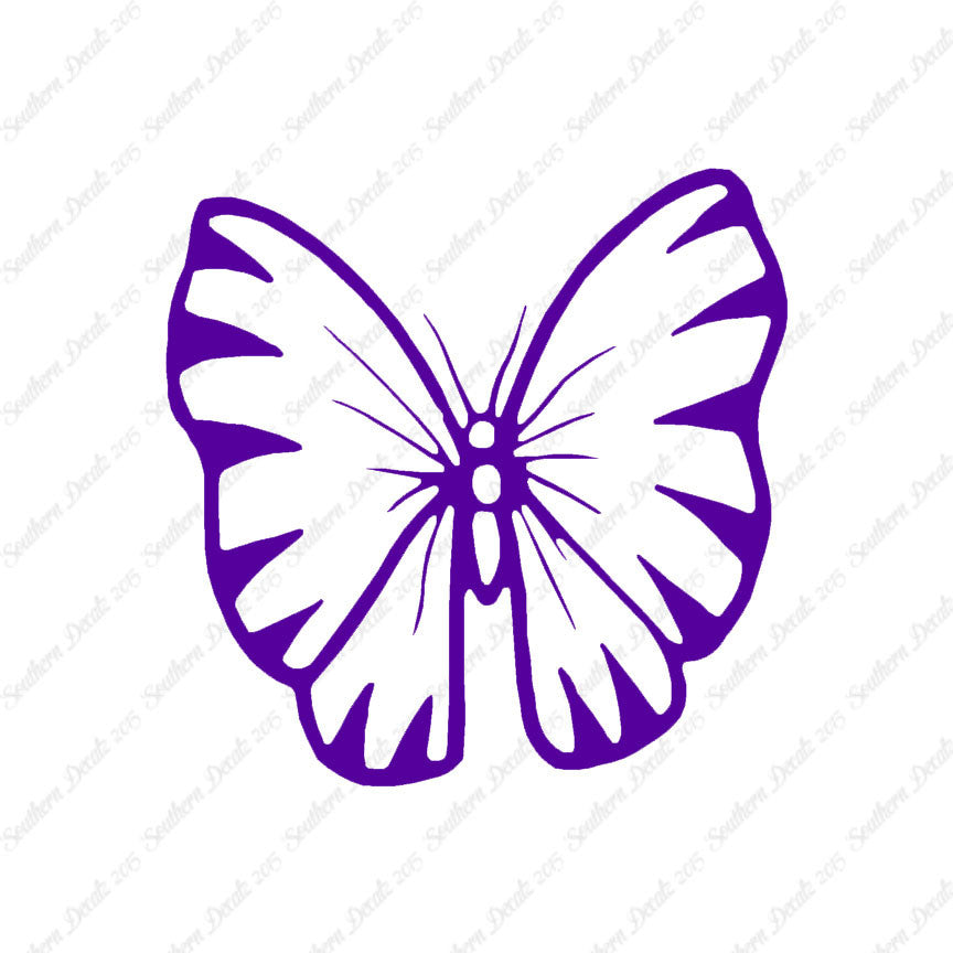Butterfly Moth Insect