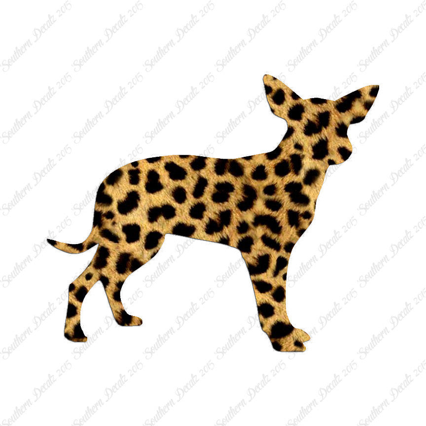 Chihuahua Dog Breed