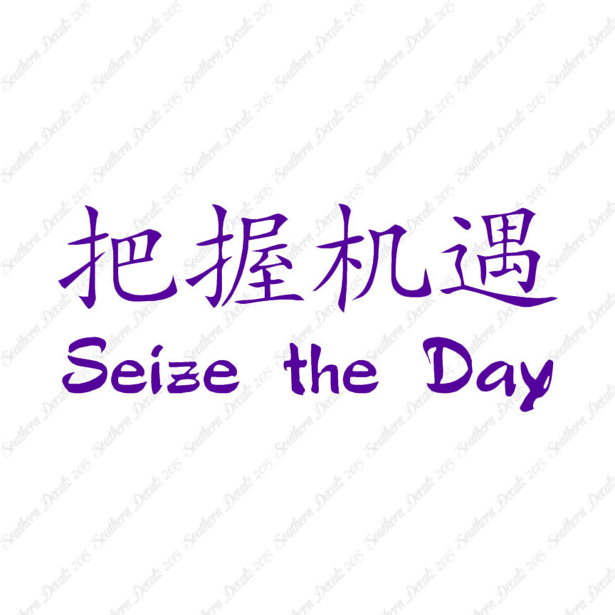 Chinese Symbols "Seize The Day"