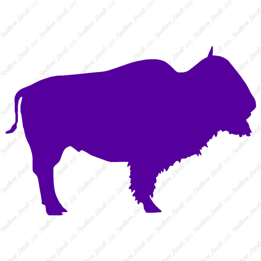 Bison Buffalo Bull