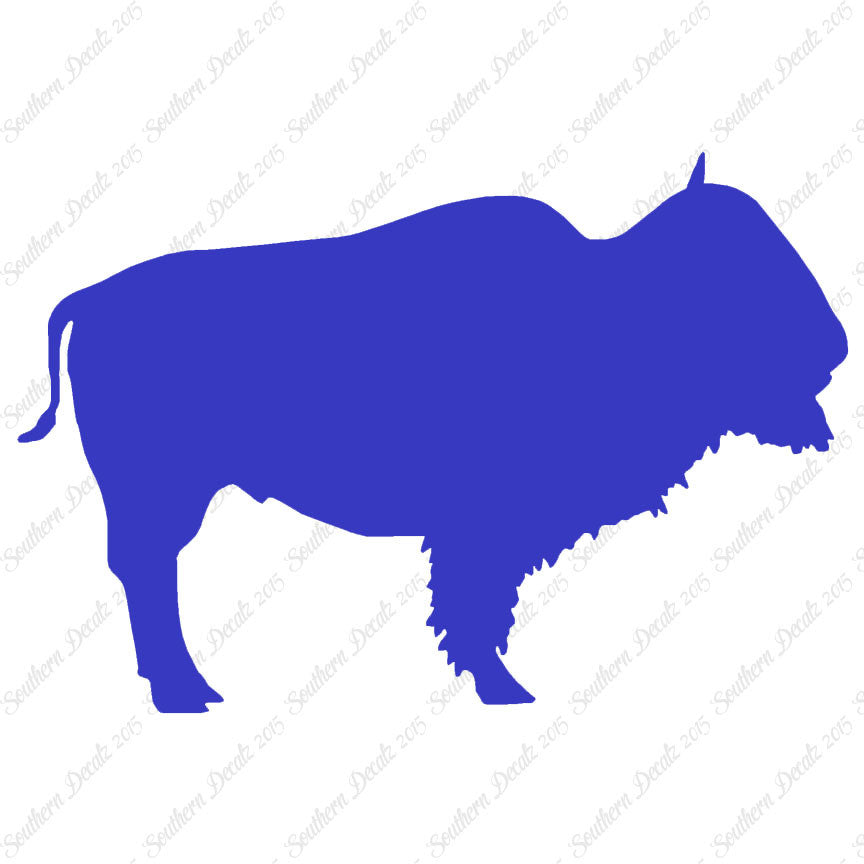 Bison Buffalo Bull