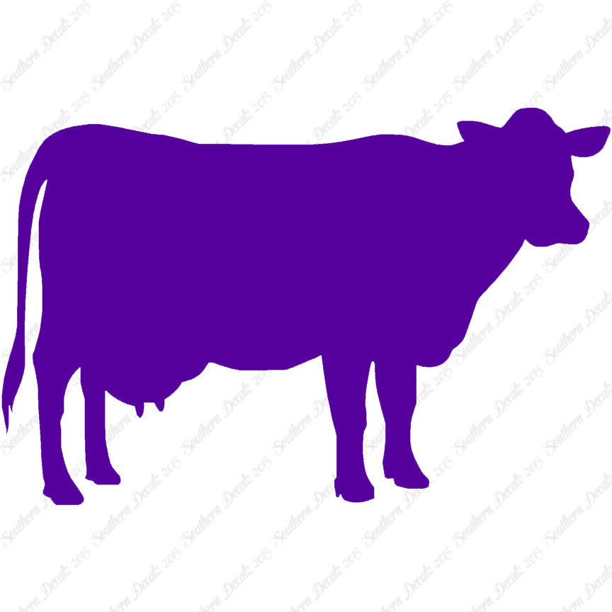 Dairy Cow Bovine