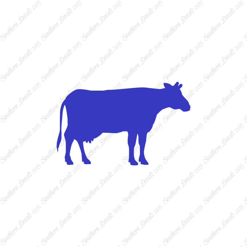 Cow Bovine Angus