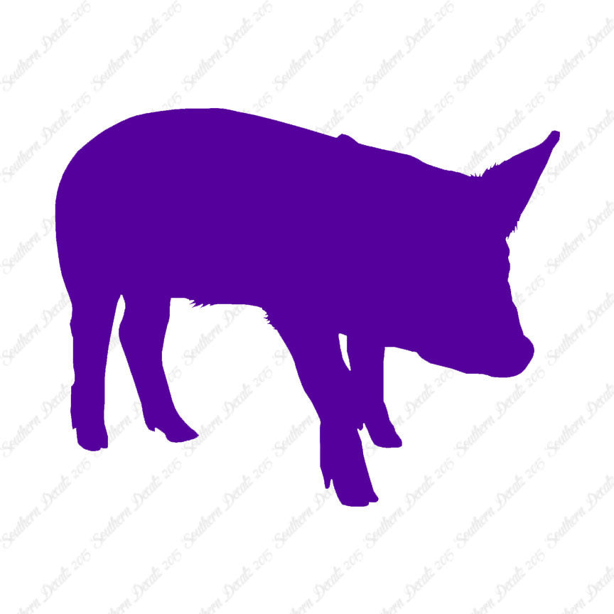 Swine Pig Sow