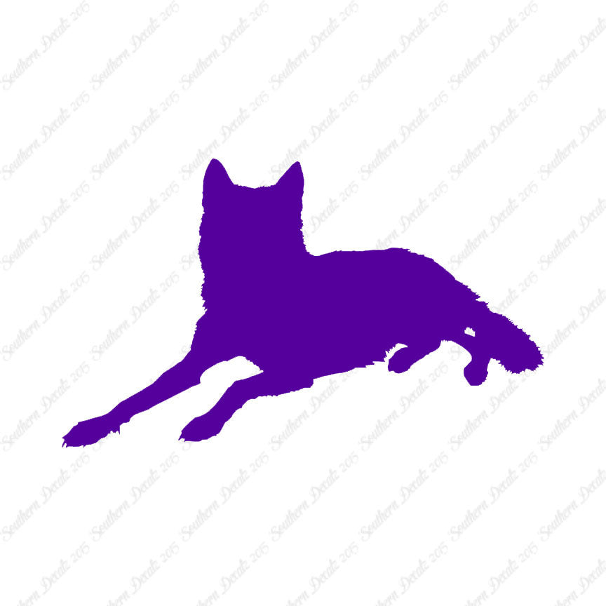 Coyote Wolf Wild Dog