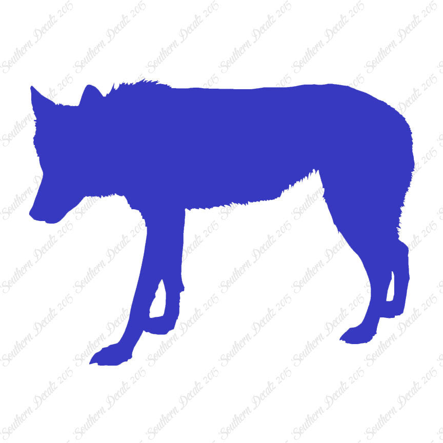 Coyote Wild Dog Wolf