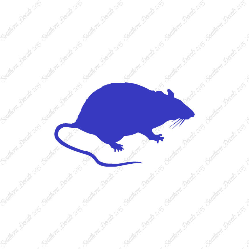 Rat Mouse Vermin