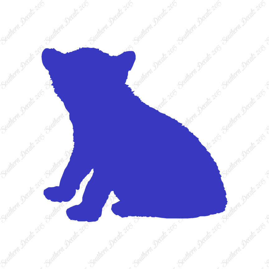 Big Cat Cub Kitten