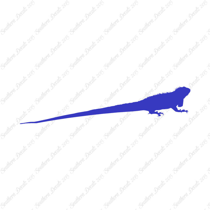 Iguana Lizard