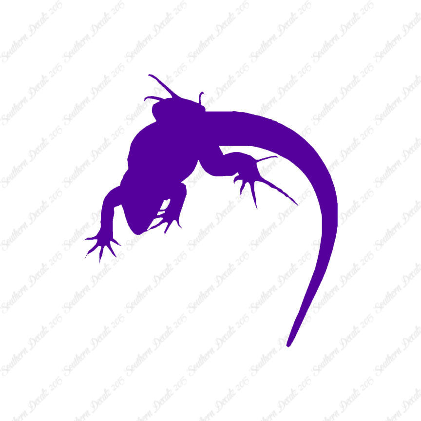Lizard Anole Gecko