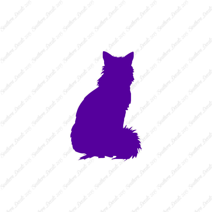 Kitten Cat Fluffy