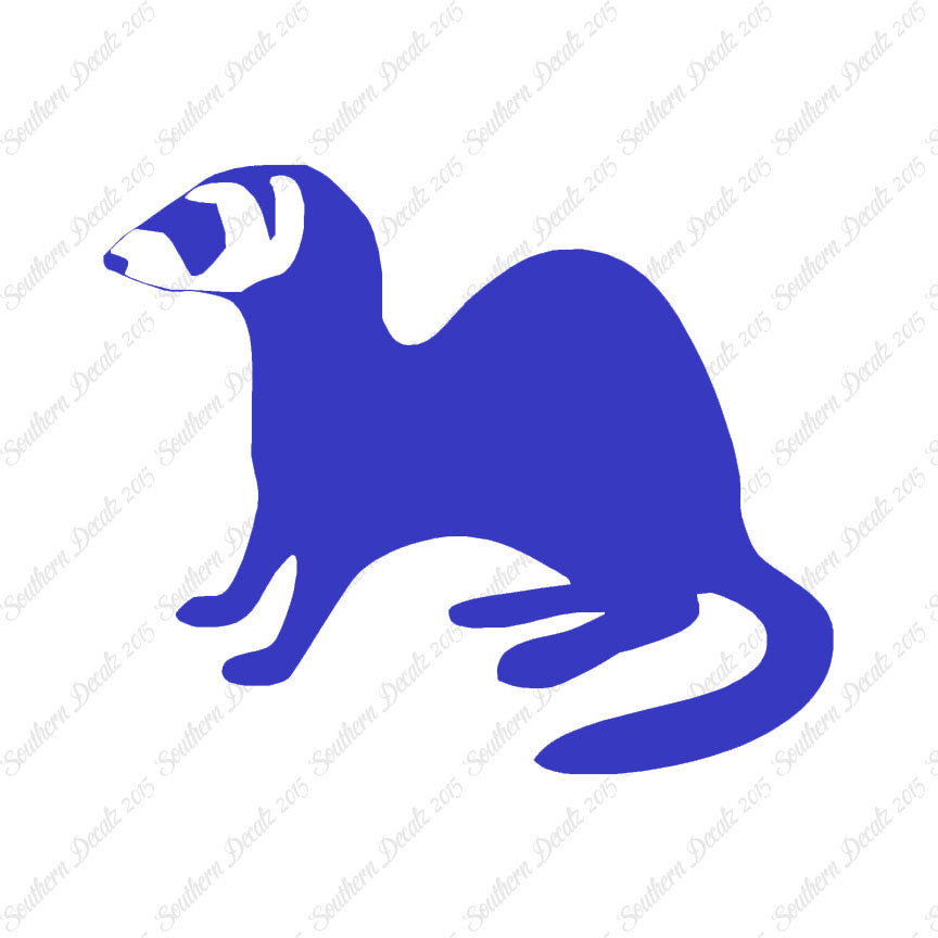 Ferret Weasel