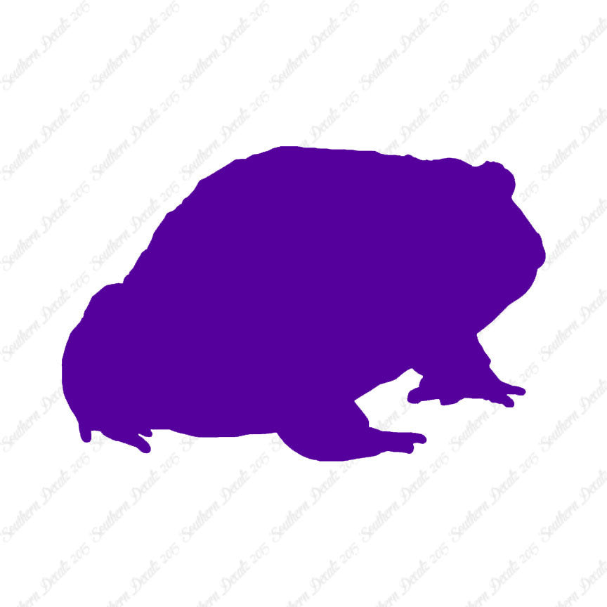 Bullfrog Toad