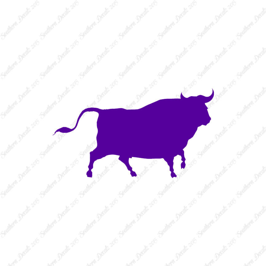 Bull Angus Cow