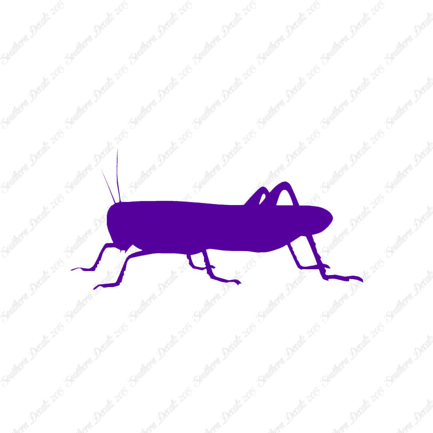 Grasshopper Cricket Insect