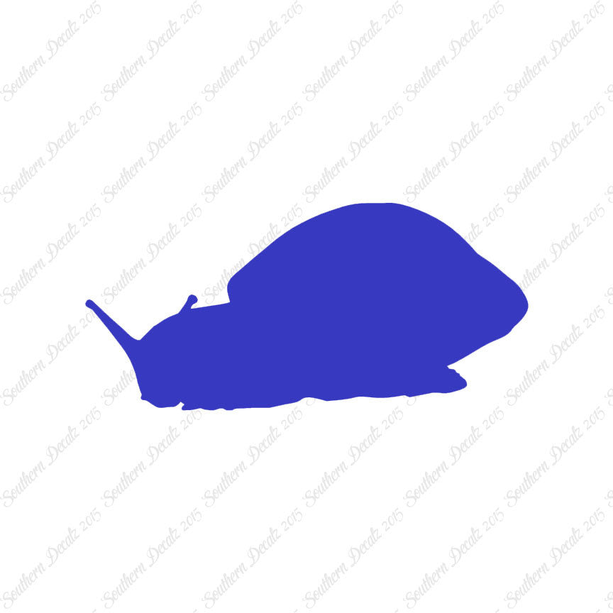 Snail Slug Insect