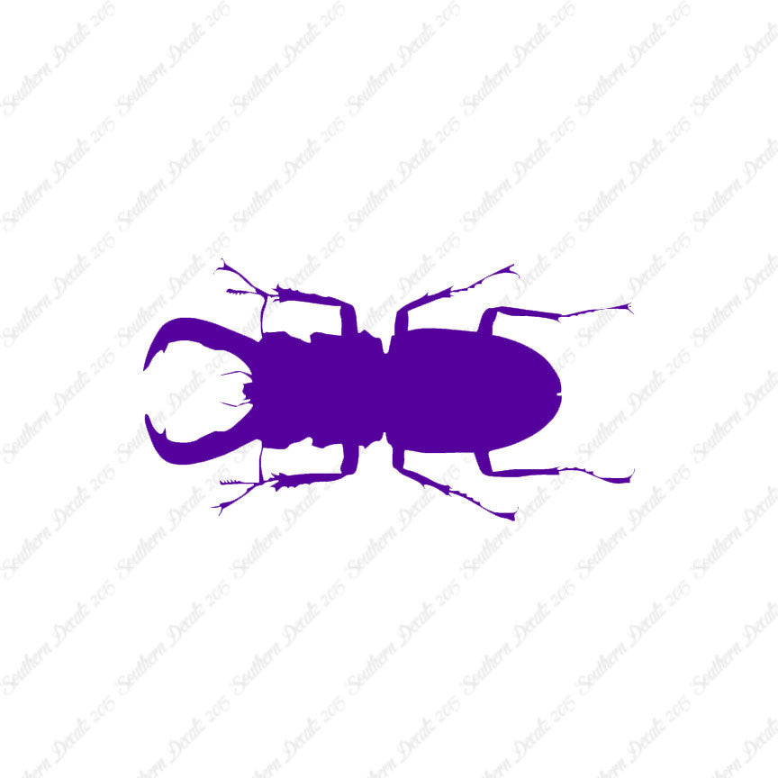Stag Beetle Insect