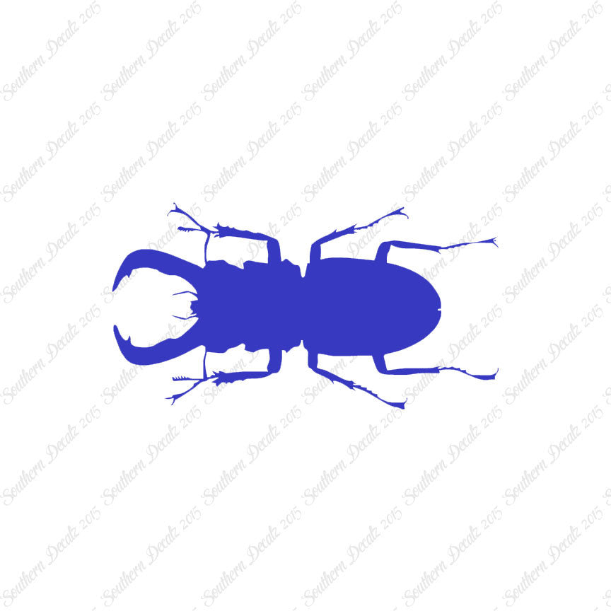 Stag Beetle Insect