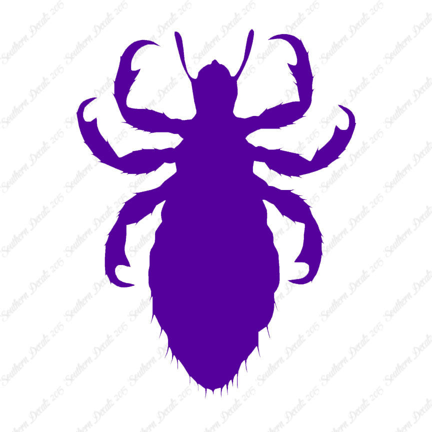 Flea Lice Insect