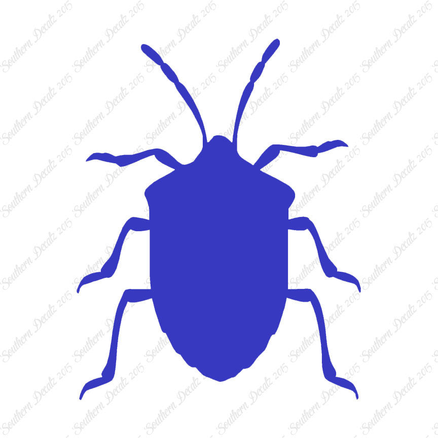 Ground Beetle Insect