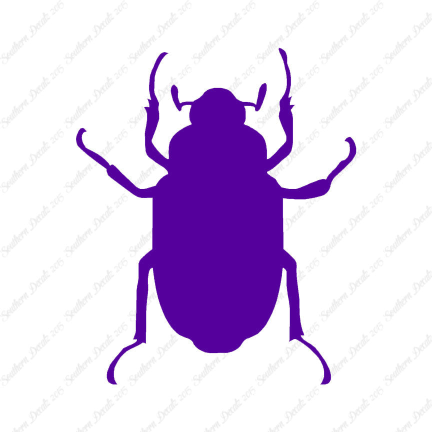 Water Beetle Junebug Insect