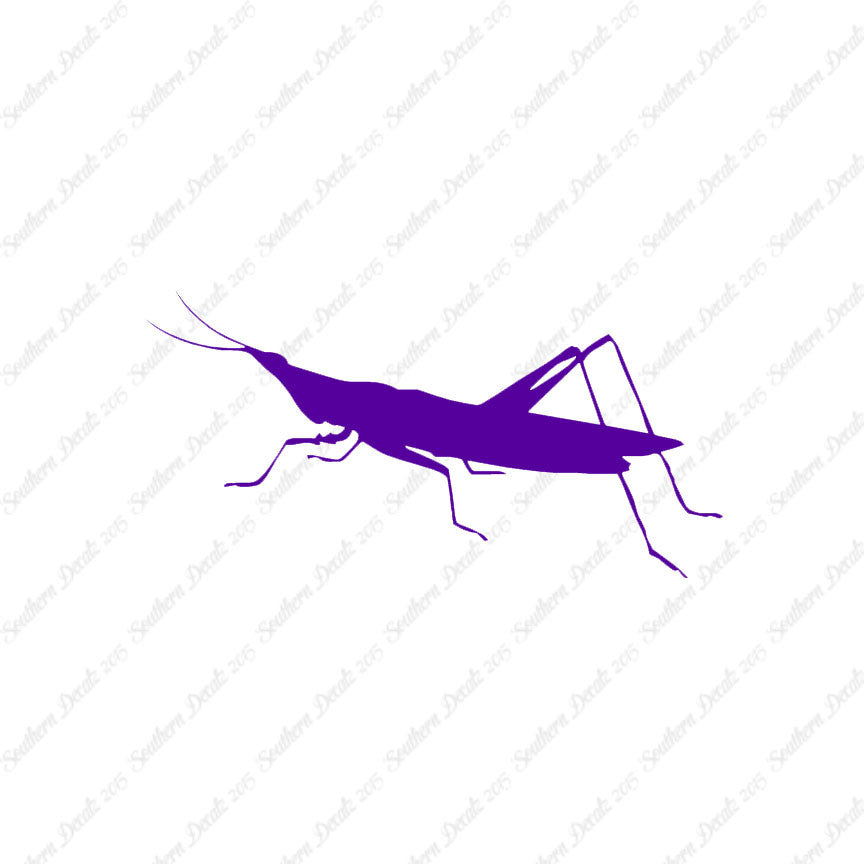 Grasshopper Insect