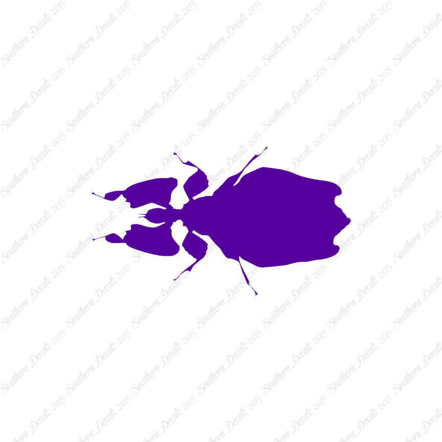 Dung Beetle Insect