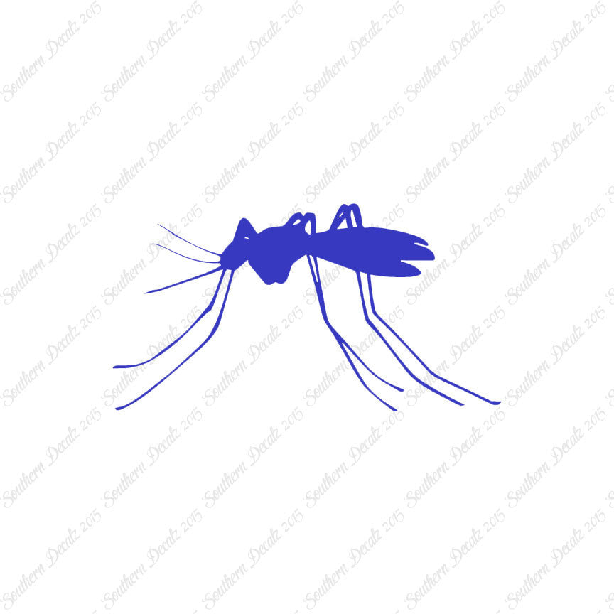 Mosquito Insect