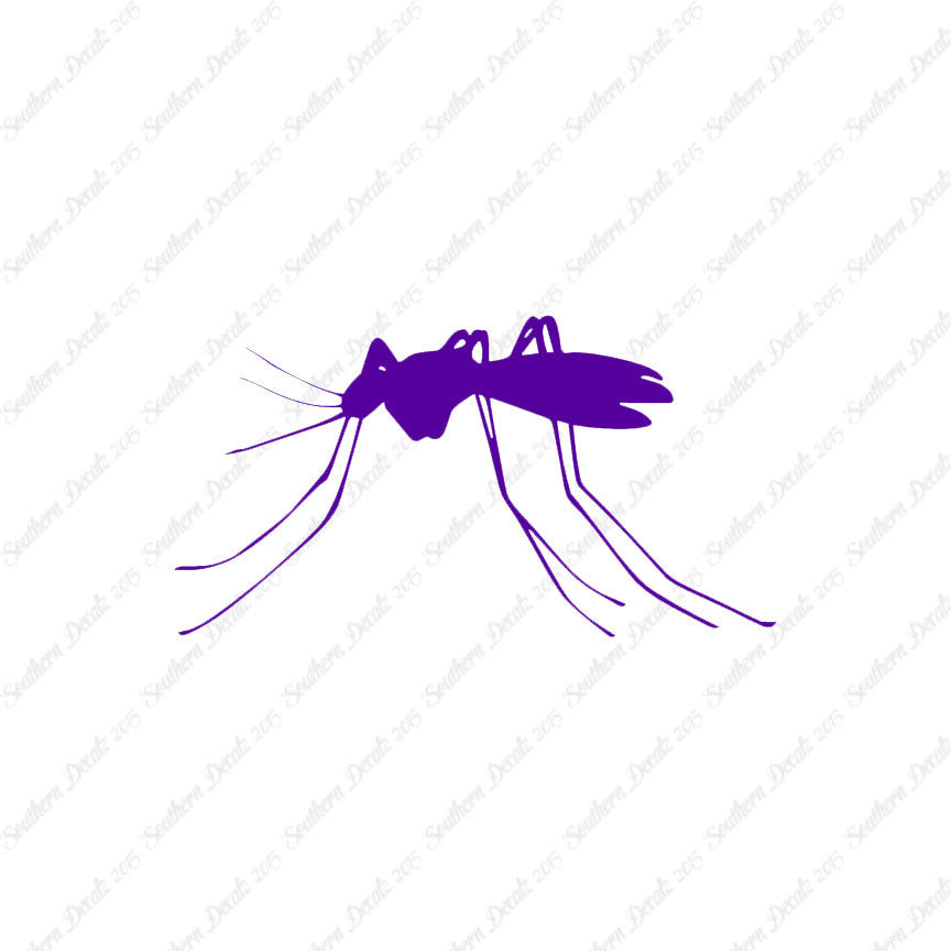 Mosquito Insect