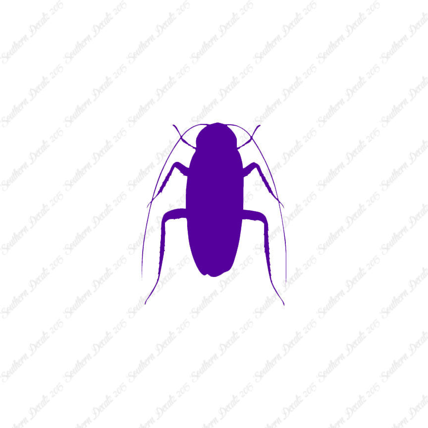 Water Beetle Cockroach