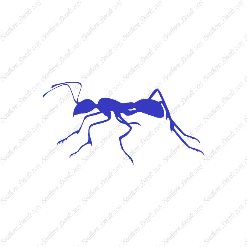 Ant Insect