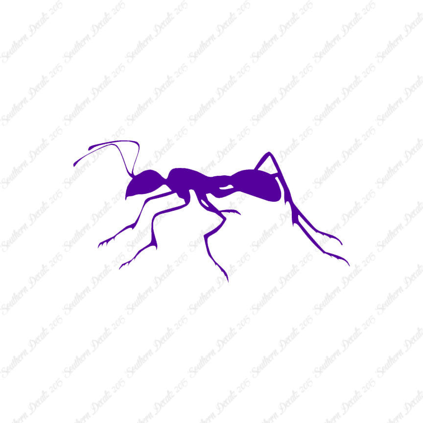 Ant Insect