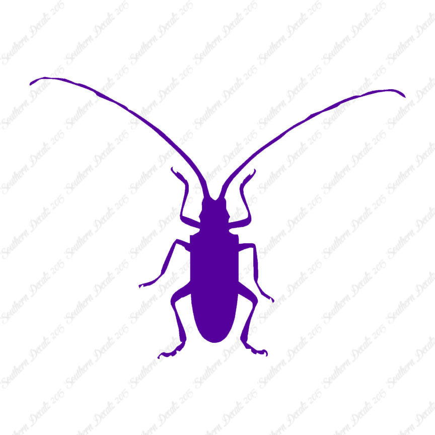 Longhorn Beetle